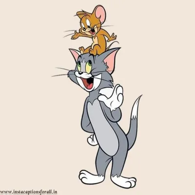 Funny Tom and Jerry WhatsApp status - YouTube