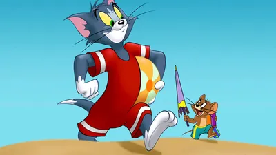 Обои Мультфильмы Tom And Jerry, обои для рабочего стола, фотографии  мультфильмы, tom and jerry, кот, мышь Обои для рабочего стола, скачать обои  картинки заставки на рабочий стол.