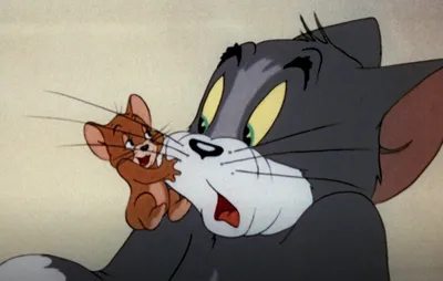 Журналы Tom and Jerry (WB) Коллекция для детей (1-12/21) Том и Джерри 12  номеров купить по цене 749 ₽ в интернет-магазине Детский мир