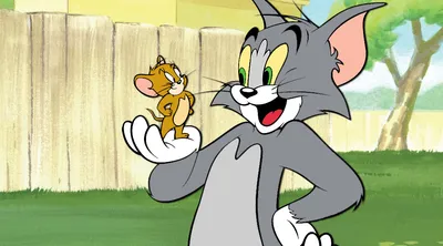 Битва за флаг, друзья у ручья, Том и Джерри. Смотрите новые мультфильмы на  Cartoon Network и Boomerang | TV Mag