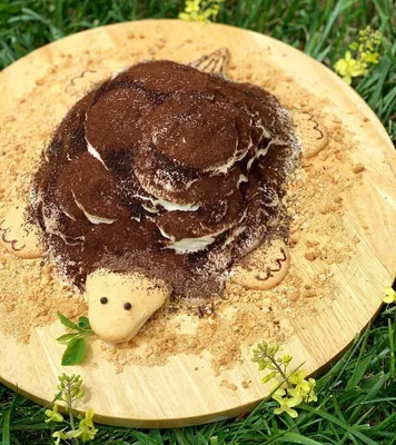 Торт Черепаха – рецепт со сметаной и варёной сгущёнкой. Любимый домашний  бисквитный торт - YouTube