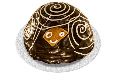 Шоколадный торт Черепаха рецепт - как приготовить со сметаной и какао