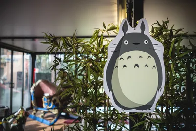 My Neighbor Totoro Studio Ghibli Canvas Wall Art - Anime Ape