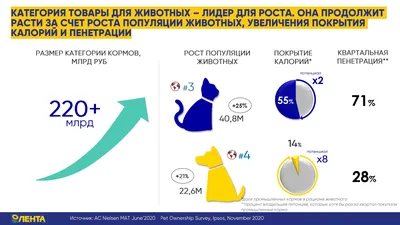 Товары для животных