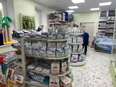 Товары для животных в «Ленте»: инструменты роста продаж | Retail.ru
