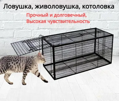 Товары для животных | Moscow