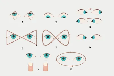 Тренажер для глаз (3 фото). Воспитателям детских садов, школьным учителям и  педагогам - Маам.ру