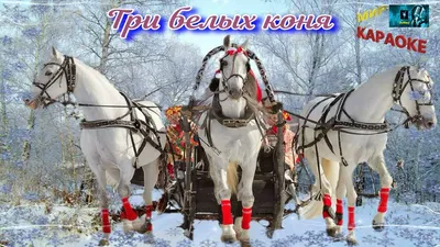 Эх три белых коня...\" Что нужно знать о русской тройке. | STENA.ee