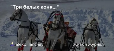 Сергей Захаров Три белых коня - YouTube