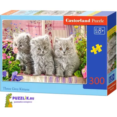 Алмазная мозаика Seichi Три котёнка в корзине с бабочками 30х40 см купить  по цене 247 ₽ в интернет-магазине Детский мир