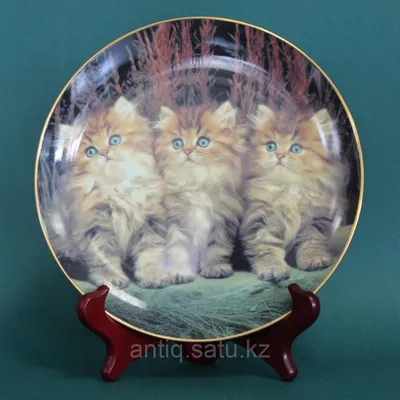 Три котенка - МНОГОКНИГ.lv - Книжный интернет-магазин