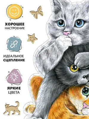 Три котенка в коробке: первые дары от людей приюту | Блог #Мими_кися | Дзен