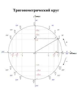 Тригонометрический круг и Тригонометрические тождества. | математика | Дзен