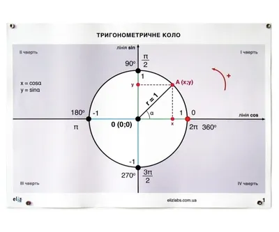 Тригонометрический круг