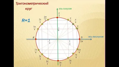 Значения тригонометрических функций на окружности. - YouTube