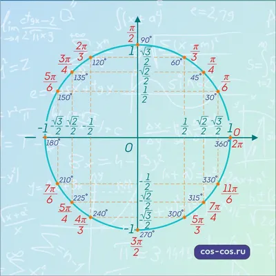 Тригонометрическая окружность и графики функций - Умскул Учебник