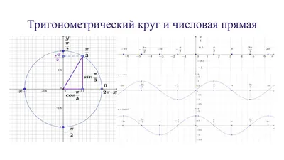 Онлайн калькулятор синуса, косинуса, тангенса и котангенса