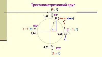 50 Тригонометрический круг