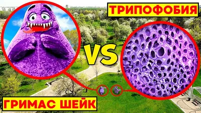 Трипофобия - она такая) :: Лена Арефьева – Социальная сеть ФотоКто