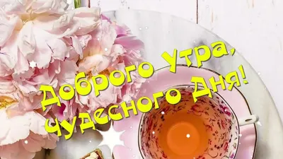 ДО СЛЁЗ КАК ТРОГАТЕЛЬНО! ДОБРОЕ УТРО! С Добрым Утром! Музыкальная открытка  | СТИХ - YouTube