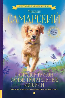 Наши любимые книги. Самые трогательные произведения о животных, УИД купить  по низкой цене - Галамарт