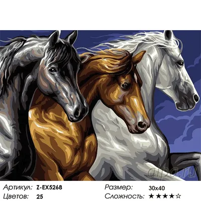Фотографии тройки лошадей в КСК «АТАМАН»
