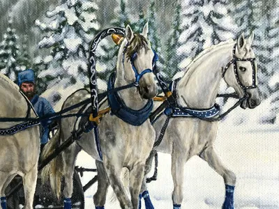 Тройка белых коней» картина Когай Жанны маслом на холсте — купить на  ArtNow.ru
