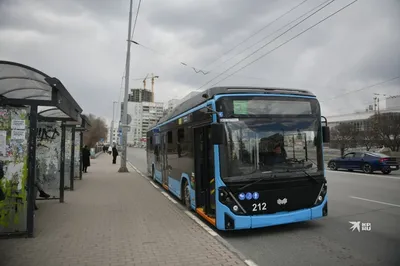 Как у «львят»: на улицы Тулы вышел троллейбус с новым дизайном - Новости  Тулы и области - MySlo.ru