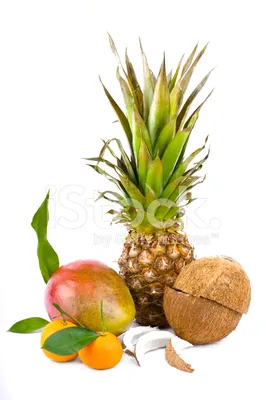 Экзотические тропические фрукты, сельскохозяйственный урожай Векторное  изображение ©Seamartini 274440286