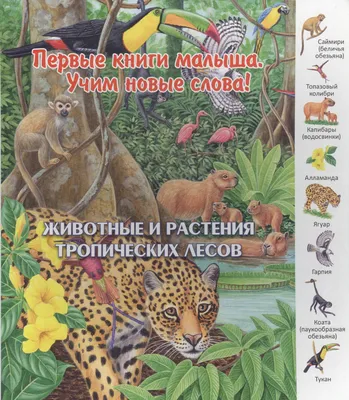 Tropical animals. Тропические животные. PNG. в 2023 г | Животные, Обои,  Графический дизайн