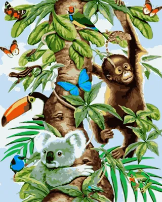 Книга: \"Животные и растения тропических лесов\". Купить книгу, читать  рецензии | ISBN 9785889447801 | Лабиринт