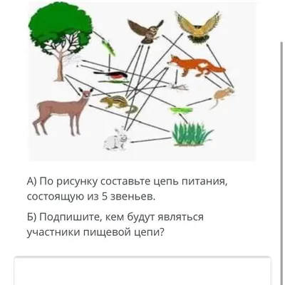 Ответы Mail.ru: Помогите мне очень нужно составить цепь питания в тундре  кто знает напишите пожалуйста огромное спасибо)) ♧♧♧