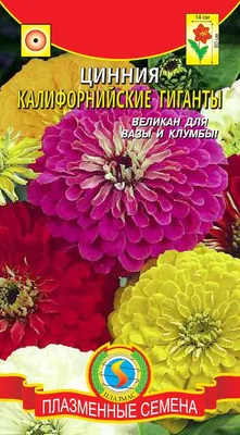 ꕤ Рассада Циния элегантная Оклахомая смесь 40 шт (кассета) • купить Рассада  Циния элегантная Оклахомая смесь 40 шт (кассета) по цене от 349.99 грн. в  Украине