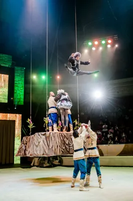 Большой Новосибирский цирк \"Звёздный\" приезжает на Сахалин с новой  программой - Новости Южно Сахалинска - astv.ru