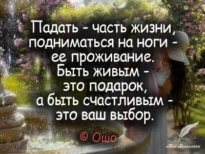 Великолепная цитата Ошо, которая помогает не реагировать на сплетников и  завистников | Бизнес. Психология. Деньги. | Дзен