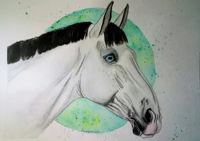 Самая красивая лошадь рисунок - 71 фото