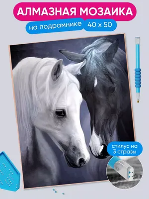 АртеМания Алмазная мозаика 40х50 Красивые лошади