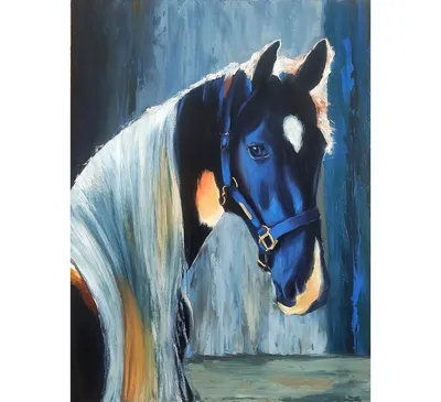 Рисунок лошади маслом - 70 фото