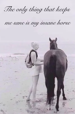 The only thing that keeps me sane is my insane horse. | Horses, Great  quotes, Inspirational quotes