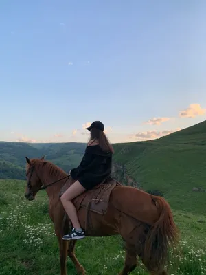 horse aesthetic en 2023 | Fotos de caballos, Fotografía paisaje urbano,  Fotografia artistica