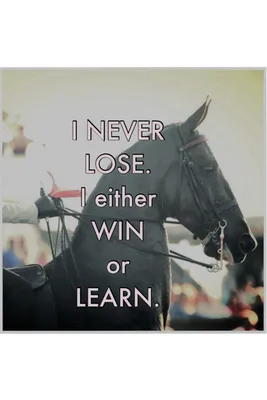 WIN or LEARN | Inspirational horse quotes, Horse quotes, Horse riding quotes