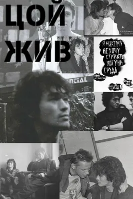 Самые любимые сигареты Виктора Цоя: сколько они стоили, какой был табак и  вкус? | ТАБАЧНАЯ КУЛЬТУРА | Дзен