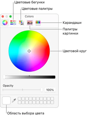 Цветовая палитра по фото для сайта. Генератор цветовых схем online