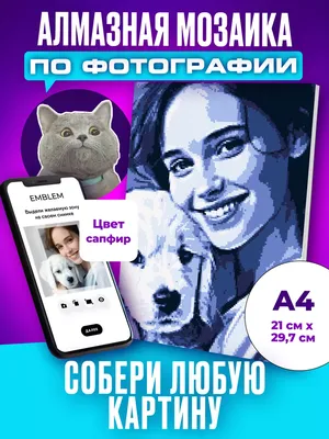 Как изменить цвет объекта в Adobe Photoshop – База знаний Timeweb Community
