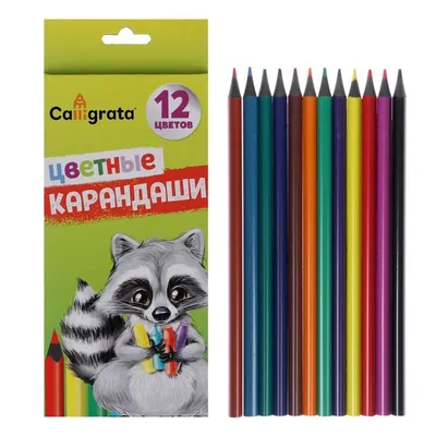 Карандаши цветные для детей мягкие 24 цвета - купить с доставкой по  выгодным ценам в интернет-магазине OZON (1052721837)
