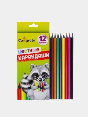 Цветные карандаши на ограниченном фоне для рисования графики Стоковое Фото  - изображение насчитывающей никто, художничества: 165401560