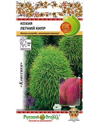 Семена кохия Русский огород Летний кипр 702732 1 уп. - отзывы покупателей  на Мегамаркет