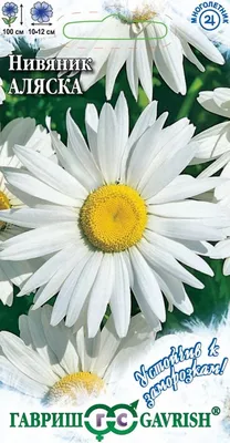 Семена цветов Нивяник Наибольший Серебряная принцесса Поиск, 0,15 г цена -  купить в интернет-магазине