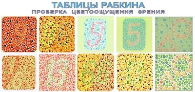 Таблица для исследования цветоощущения РАБКИНА купить в Москве по оптовой  цене | 01090