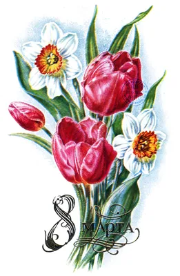Самые популярные цветы на 8 марта - Скачайте на Davno.ru